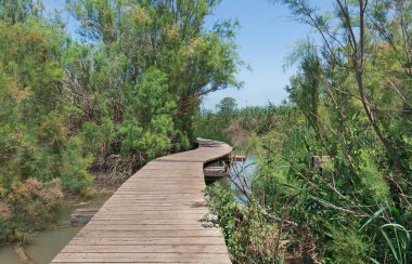İsrail 'de bir gölette ahşap yol