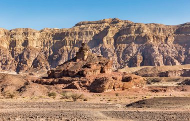 Timna Israel 'de vida tak