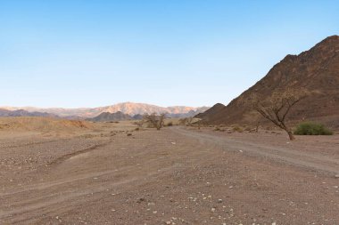 Eilat İsrail çölünde yol