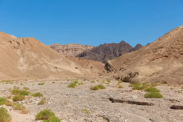 Öknar Och Bergskanjoner Eilat — Stockfoto