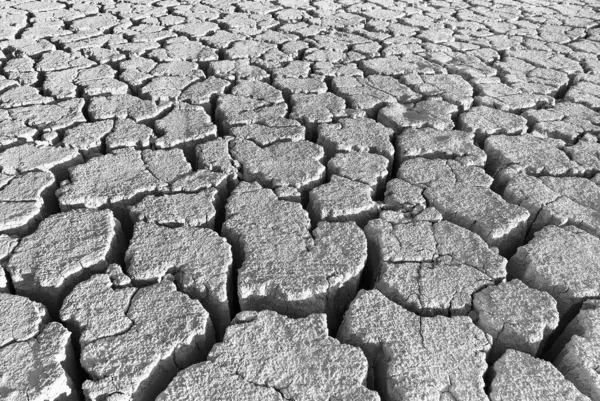 cracks in the land of black and white background