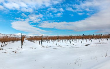 Kar, İsrail 'in kuzeyindeki kış manzarası
