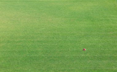 Minimalizm, yeşil alanda kırmızı boks eldivenleri