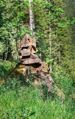 İsviçre Alplerinde kozalaklı ağaçlar