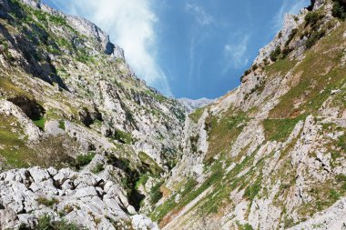 Güzel Picos de Europa Vadisi İspanya