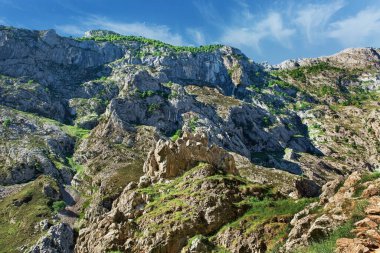 Güzel Picos de Europa Vadisi İspanya