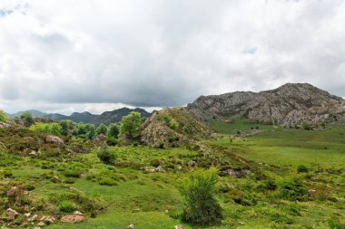 Picos de Europa İspanya 'nın güzel manzarası