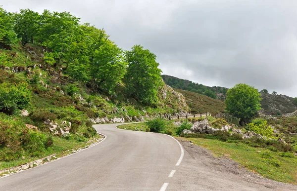 Picos de Europa dağ yolları İspanya