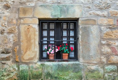 Parmaklıkları ve çiçekleri olan taş duvar ve pencere.