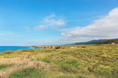 İspanya 'da Biscay Körfezi' ndeki plaj katedralleri.