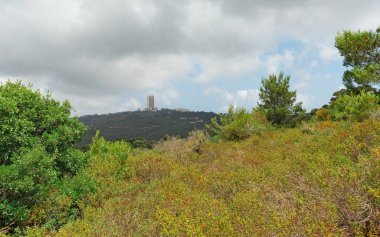 İsrail 'deki Karmel Dağı' nda Hayfa Üniversitesi