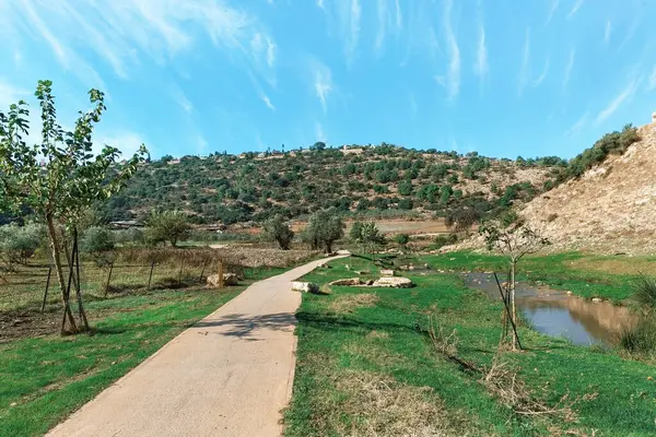 Srail Güzel Bir Gökyüzünün Arka Planında Nehir Boyunca Yürüme Yolu — Stok fotoğraf