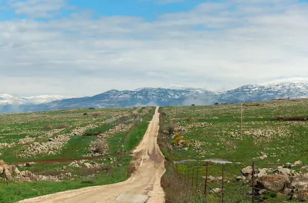 Hermoso Camino Los Altos Del Golán Norte Israel — Foto de Stock