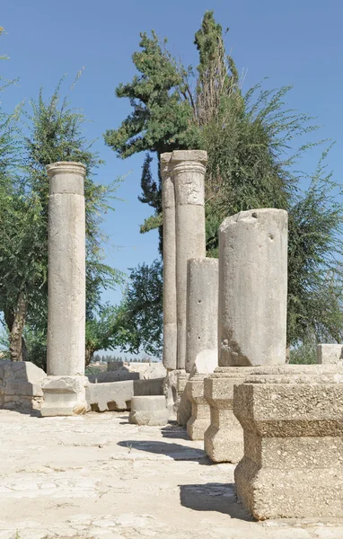 Les ruines de l'ancienne synagogue — Photo