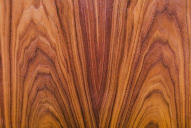 Amerikan ceviz doğal ahşap doku