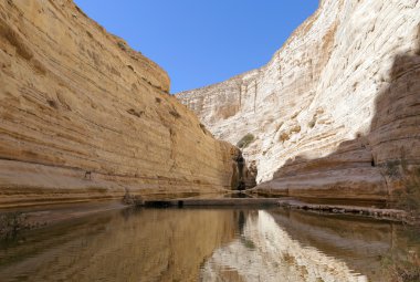 Avdat Kanyonu
