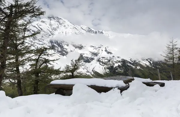 Snow-capped Alps — Stock Photo, Image