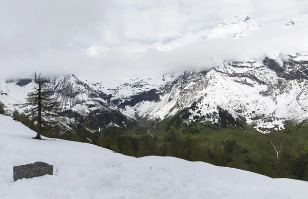 Schneebedeckte Alpen — Stockfoto