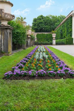 Çiçek sokak Mirabell Sarayı