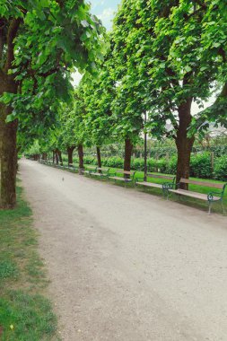 Sokağa park banklar ile 
