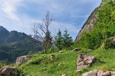 güzel dağlar karlı zirveleri ile