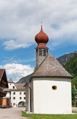 Salyangoz üzerinde bir akçaağaç