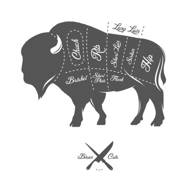 Vintage butcher cuts of bison buffalo scheme diagram