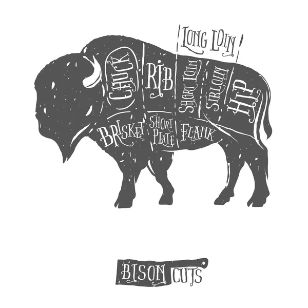 Vintage slager snijdt van bison buffalo regeling diagram — Stockvector