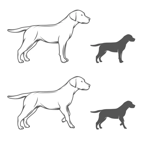 Perro en diferentes posturas aisladas sobre fondo blanco — Archivo Imágenes Vectoriales