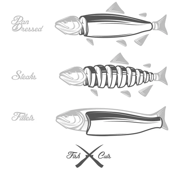 Diagrama de cortes de salmón: pescado entero, sartén, filetes y filetes — Vector de stock