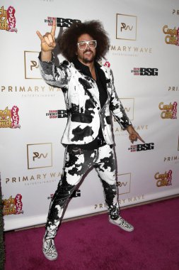 Redfoo - rapçi, dansçı, prodüktör, Dj
