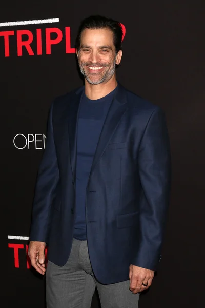 Johnathon Schaech - attore — Foto Stock