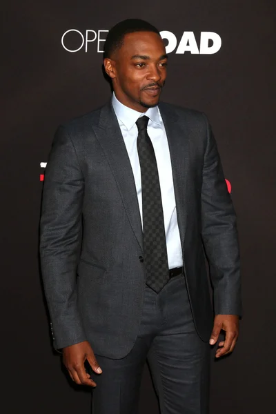 Anthony Mackie - acteur — Photo