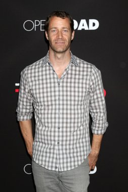 Colin Ferguson - aktör