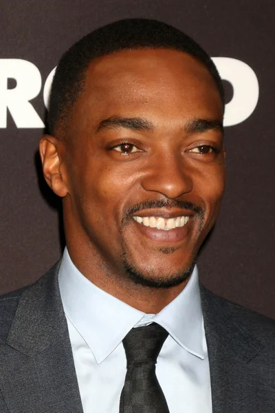 Anthony Mackie - ator — Fotografia de Stock