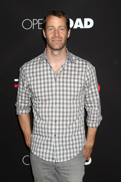 Colin Ferguson - acteur — Stockfoto