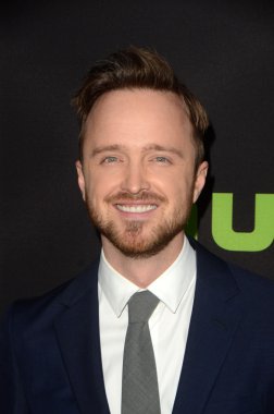 Aaron Paul - aktör