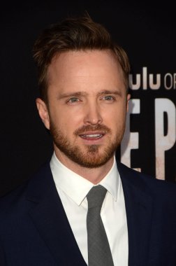 Aaron Paul - aktör