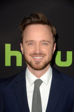 Aaron Paul - aktör