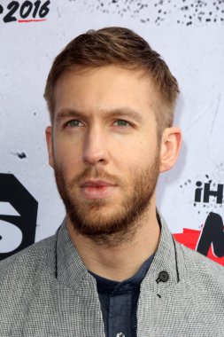 Calvin Harris - şarkıcı