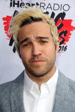Pete Wentz - müzisyen