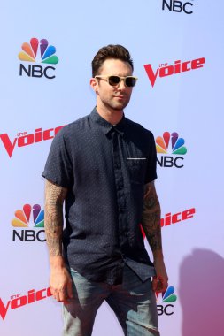 Adam Levine - şarkıcı