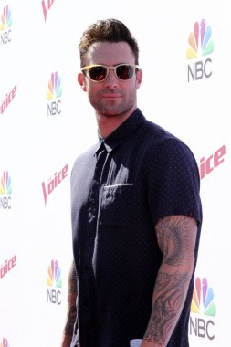 Adam Levine - şarkıcı