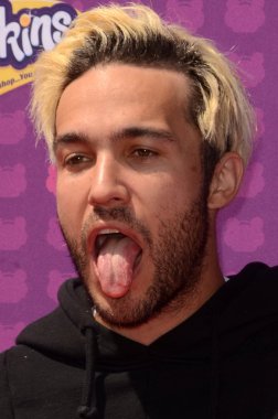 Pete Wentz - müzisyen