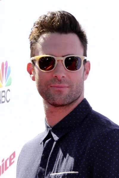 Adam Levine - cantante — Foto Stock