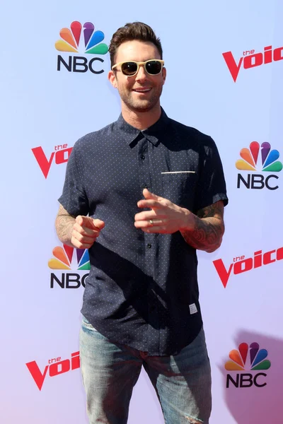 Adam Levine - chanteur — Photo