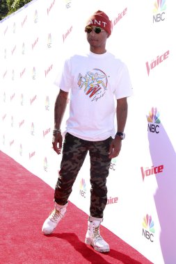 Pharrell Williams - şarkıcı