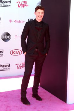 Shawn Mendes - şarkıcı