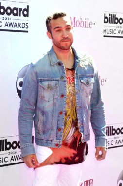 Pete Wentz - şarkıcı