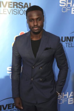 Dayo Okeniyi - actor